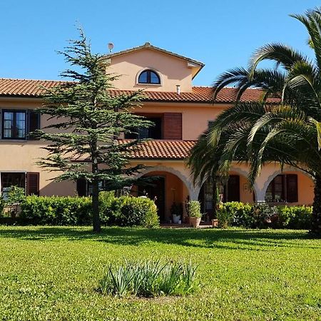 Villa Mandrioli 切奇纳 外观 照片