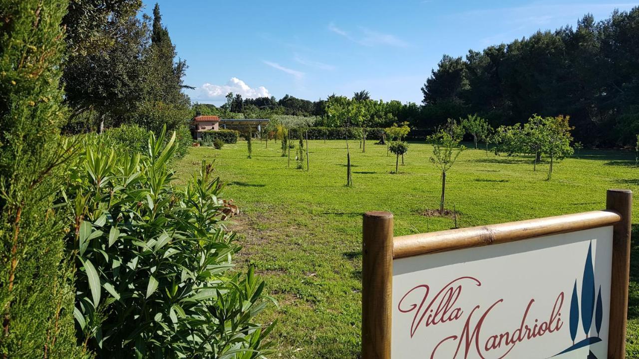 Villa Mandrioli 切奇纳 外观 照片
