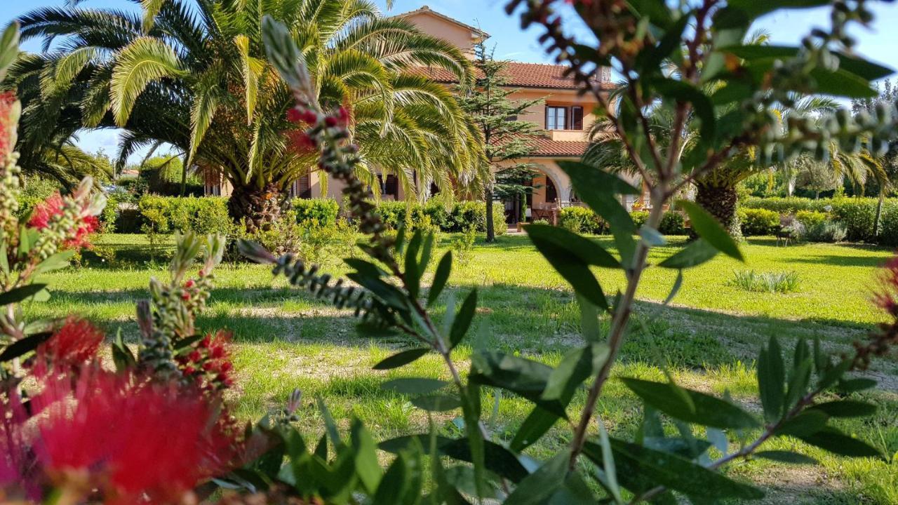 Villa Mandrioli 切奇纳 外观 照片