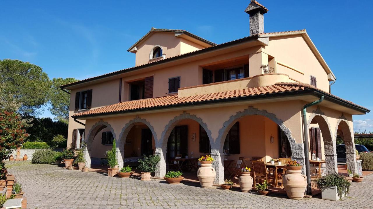 Villa Mandrioli 切奇纳 外观 照片