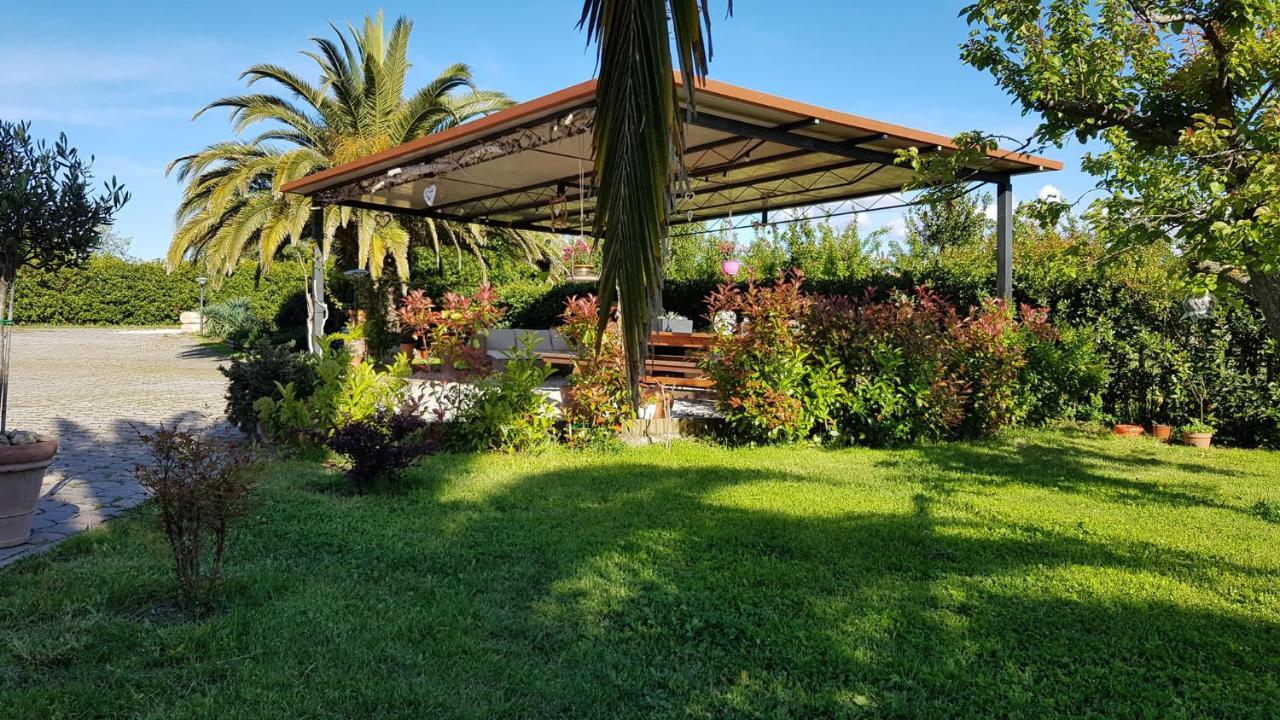 Villa Mandrioli 切奇纳 外观 照片