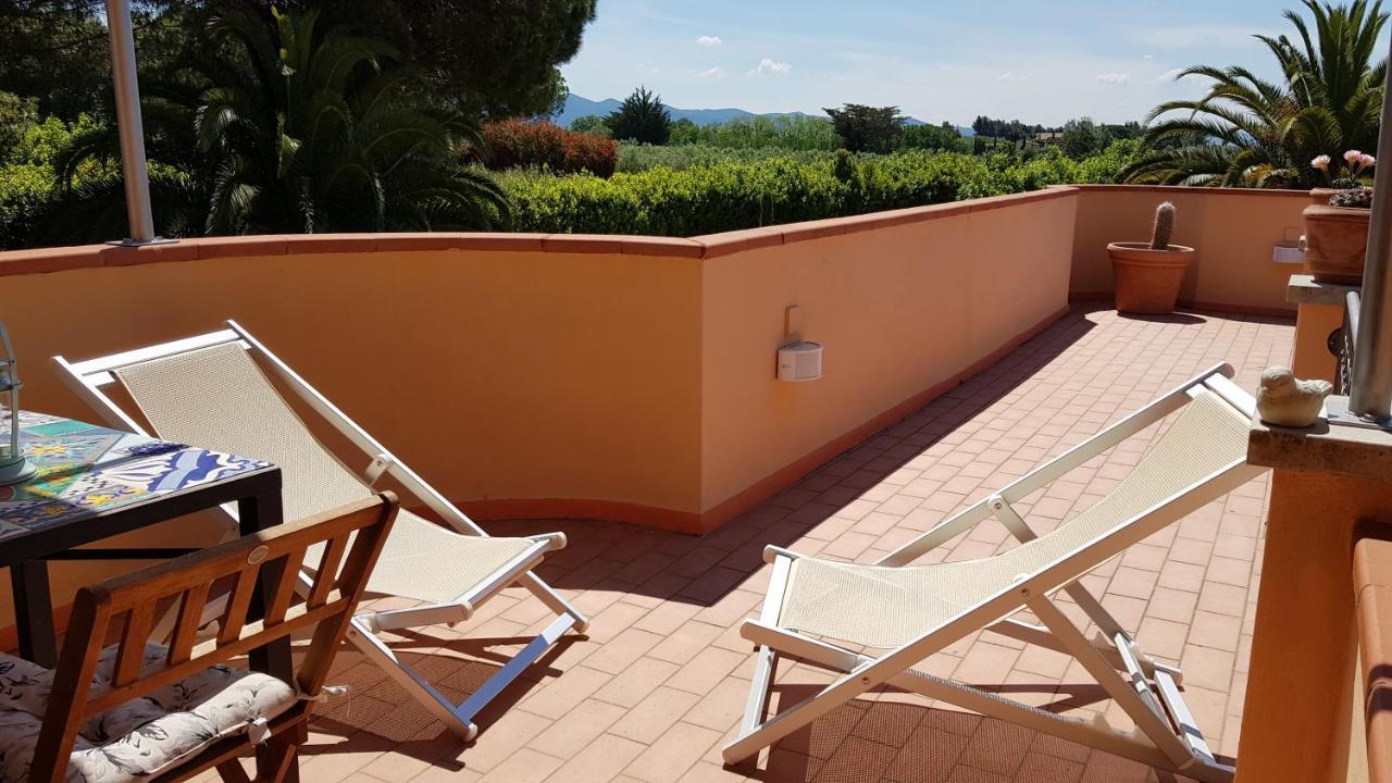 Villa Mandrioli 切奇纳 外观 照片
