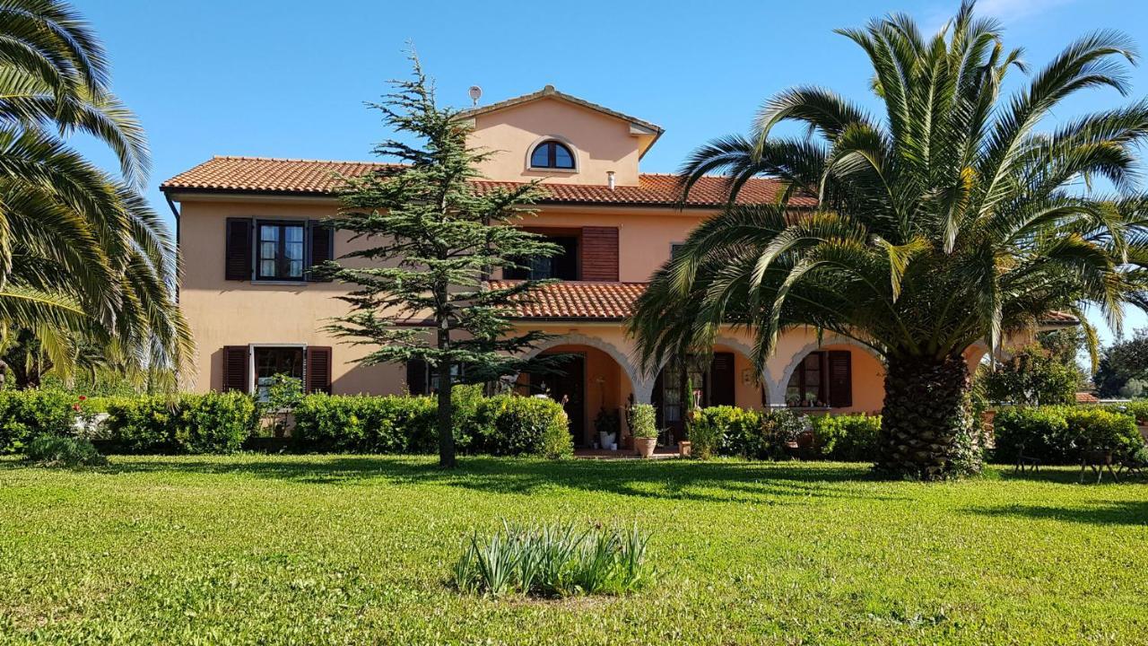 Villa Mandrioli 切奇纳 外观 照片
