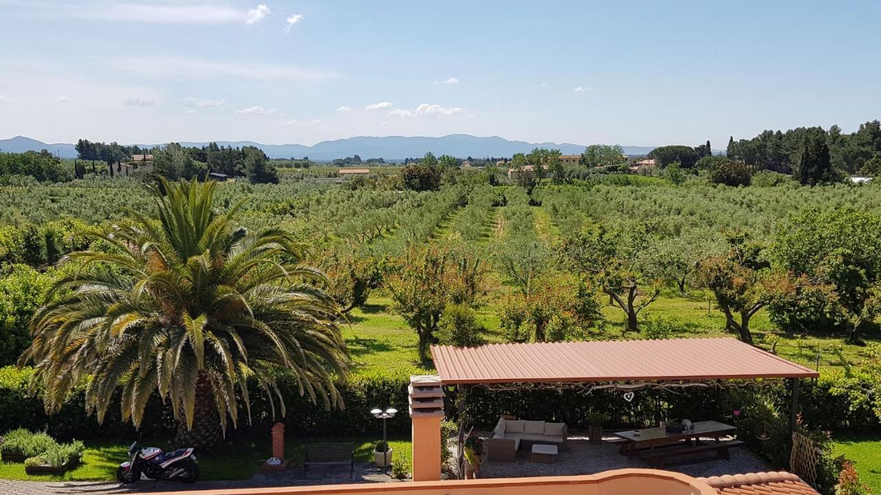 Villa Mandrioli 切奇纳 外观 照片